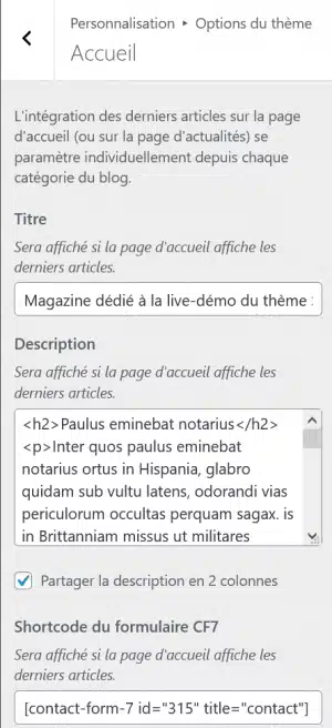 Theme Seo Mag WordPress Accueil 2