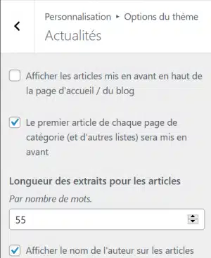 Theme Seo Mag WordPress Actualites