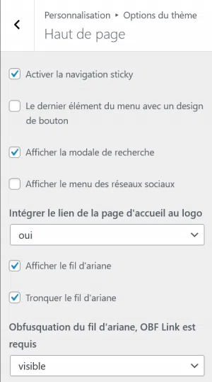 Theme Seo Mag WordPress Haut De Page 2