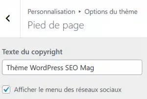 Theme Seo Mag WordPress Pied De Page 2